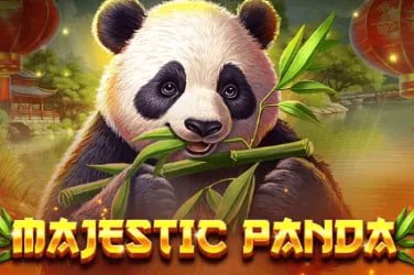 A Bangladesh-friendly bet 7000 hero scene for mobile visitors